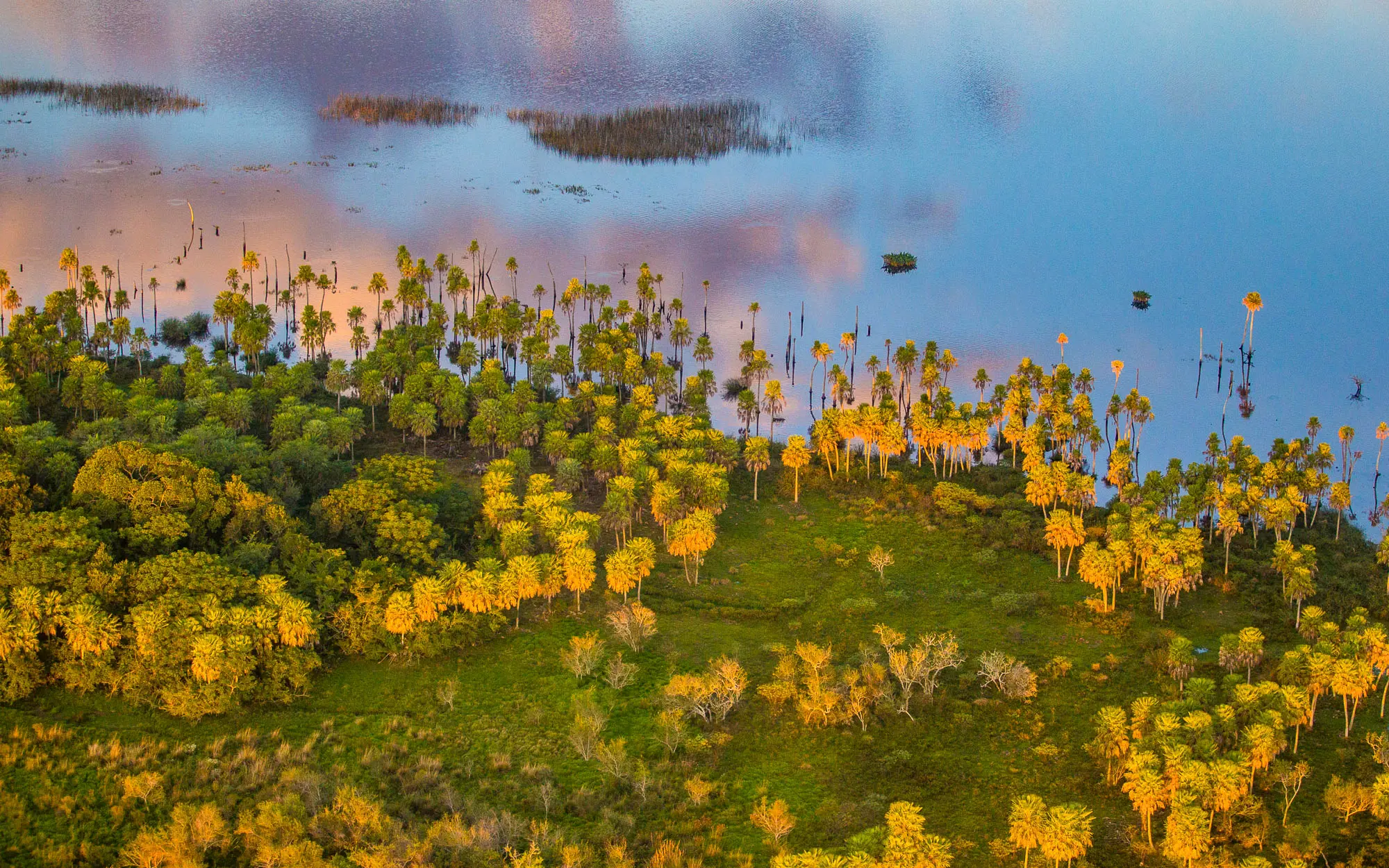 Imagen decorativa. Paisaje de un humedal de Iberá.