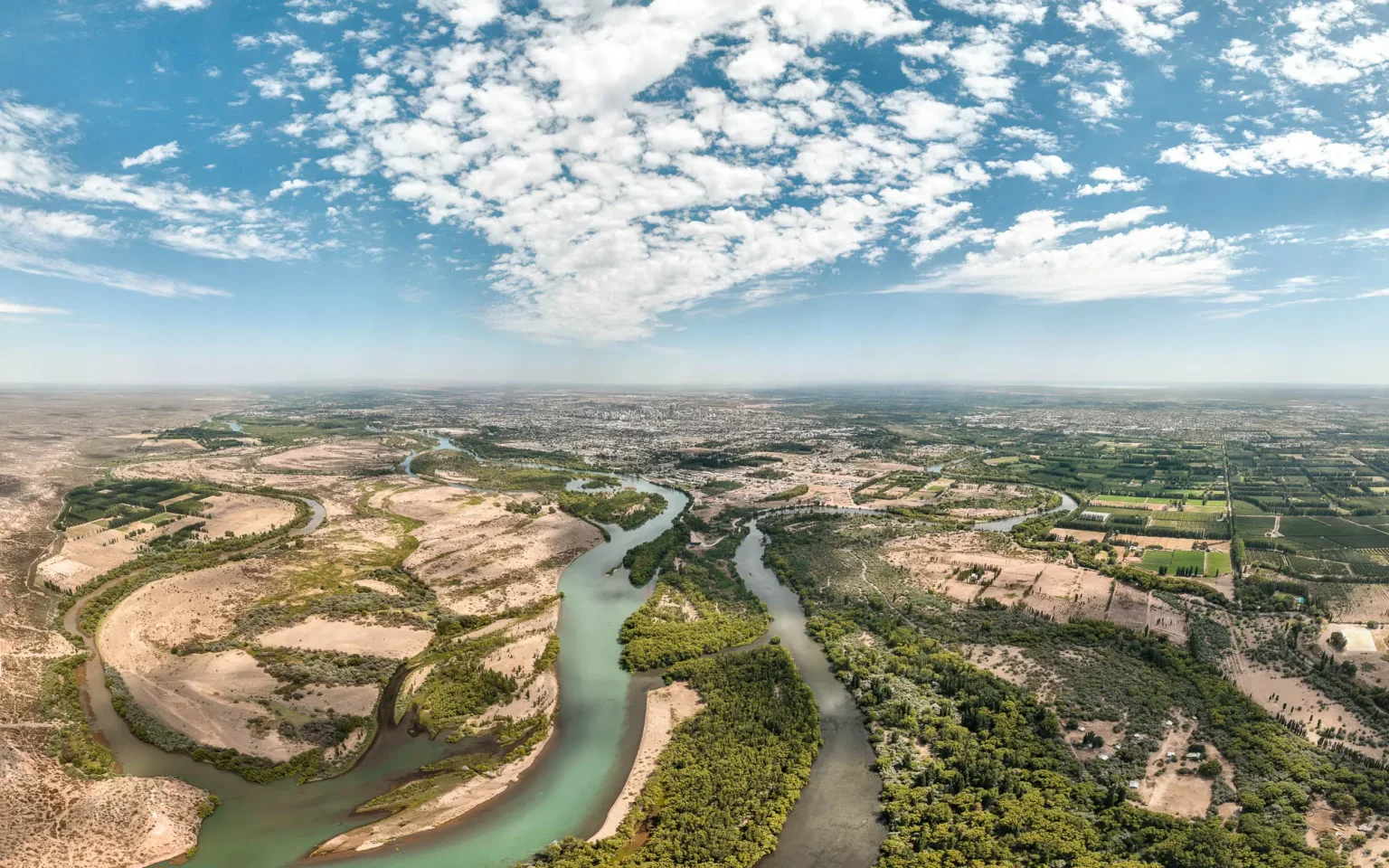 © Pájaros Volando