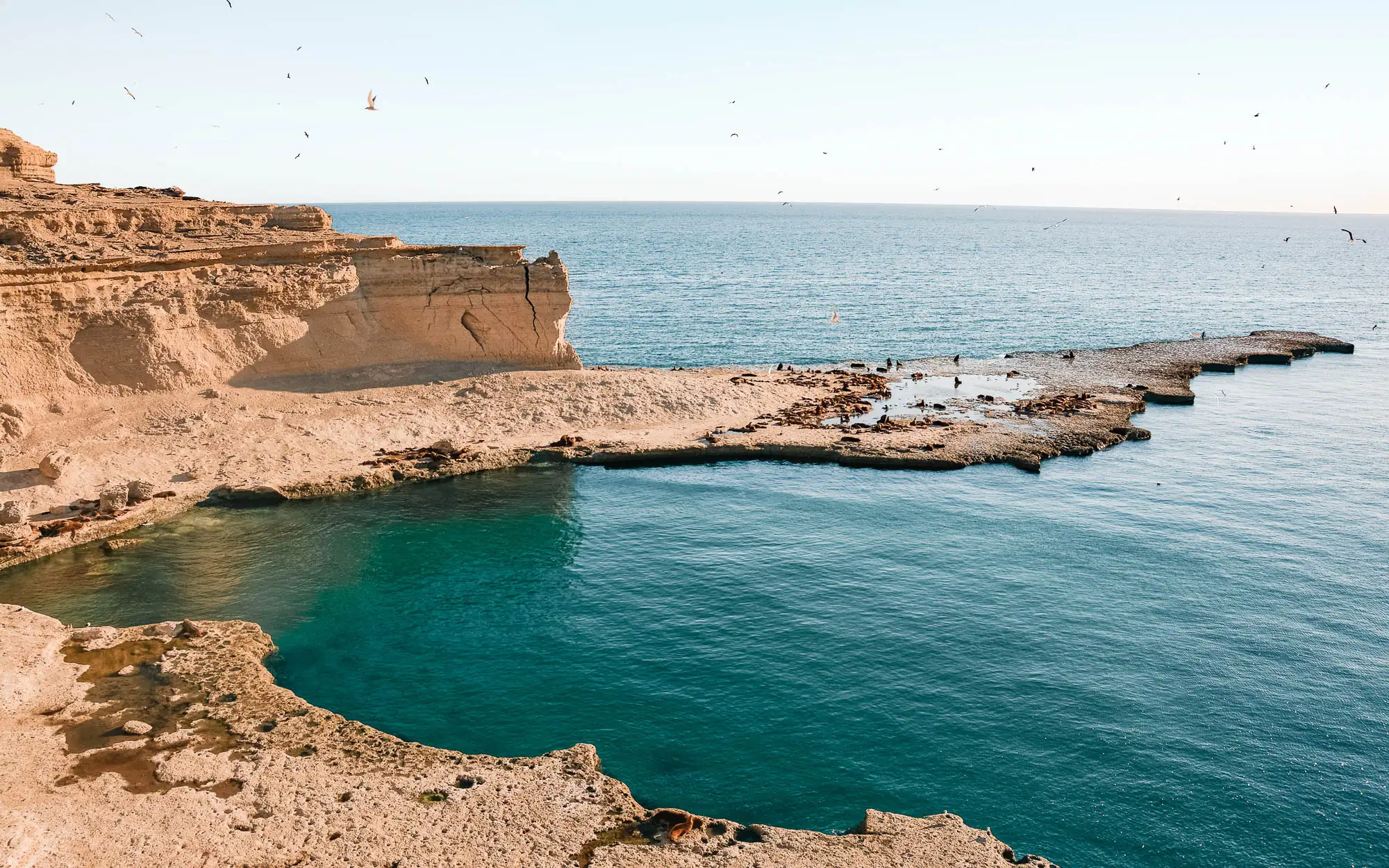 Imagen decorativa. Paisaje de la costa del Mar Argentino.