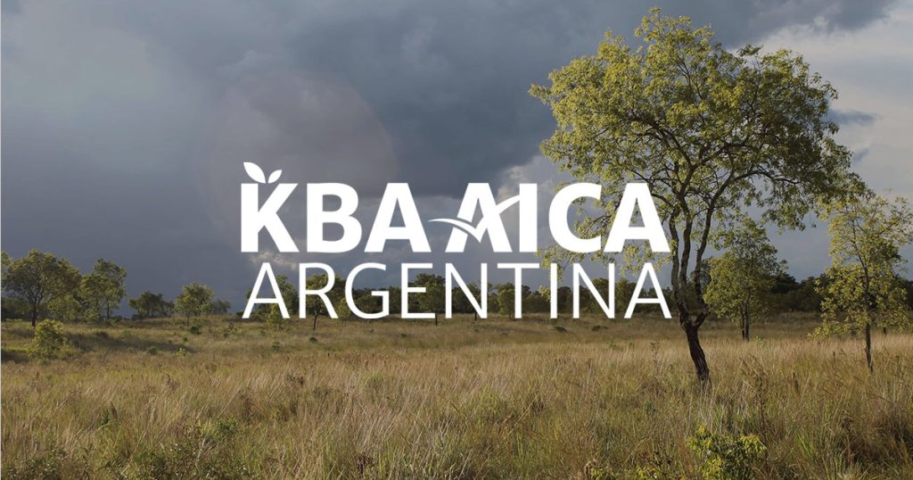 Logotipo de KBA AICA Argentina sobre un fondo fotográfico de un paisaje de la Cuenca del Garupá y Campo San Juan.