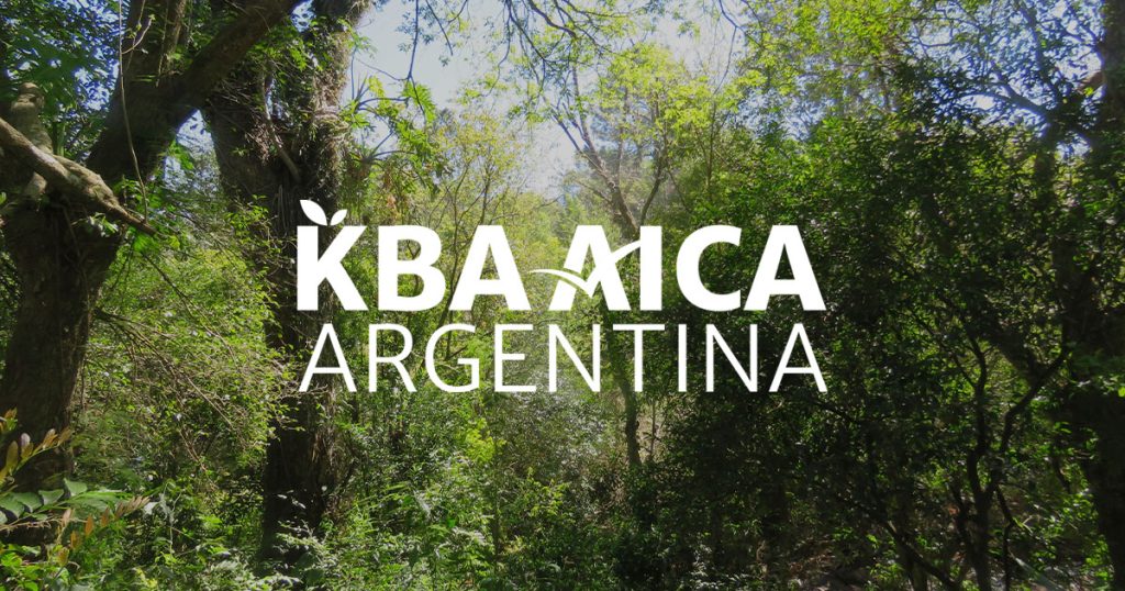 Logotipo de KBA AICA Argentina sobre un fondo fotográfico de un paisaje de la KBA Oberá.